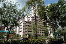 Blk 513 Jelapang Road (Bukit Panjang), HDB 5 Rooms #217772